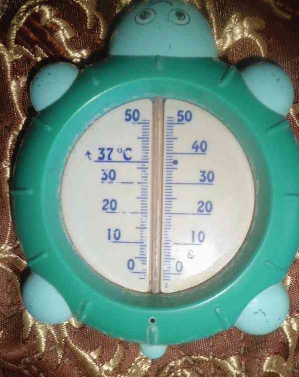 Термометр для воды Стеклоприбор Черепашка фото