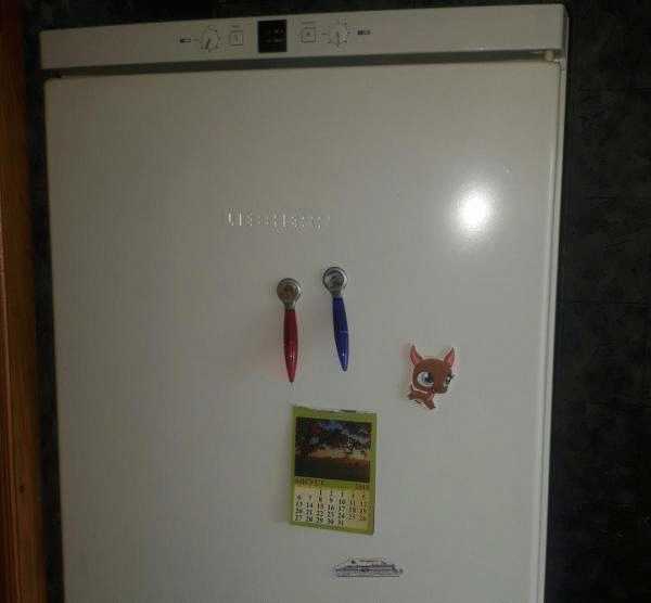 Холодильник Liebherr CN 4013 фото