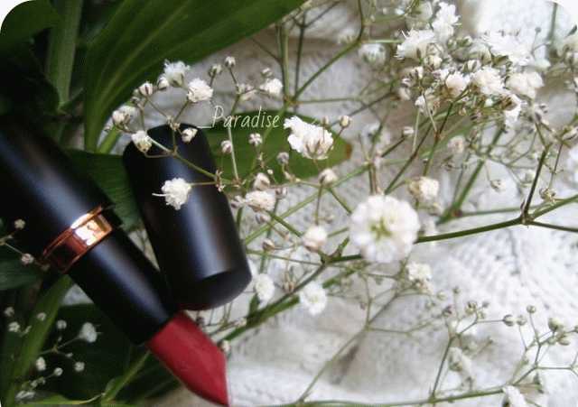 Губная помада Stellary Long Lasting Lipstick в оттенке #25 Вишневый цвет фото