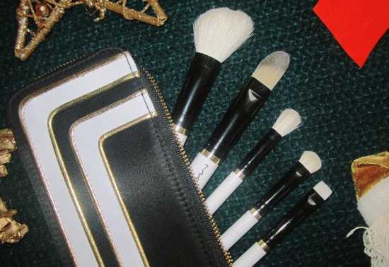 MAC Stroke of Midnight Brush Kit Essentials фото