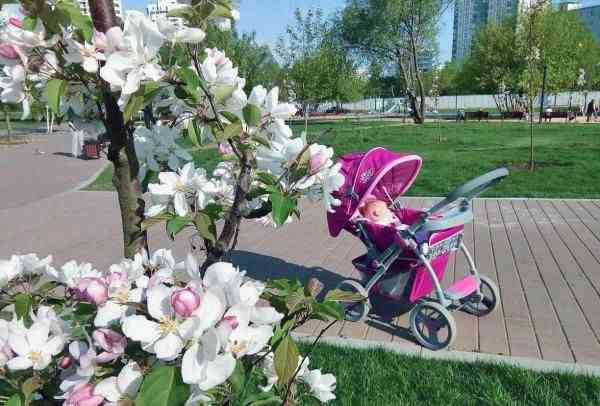 Детская коляска BabyHit Savanna фото