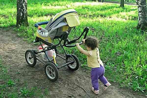 Детская коляска-трансформер Inglesina Magnum фото
