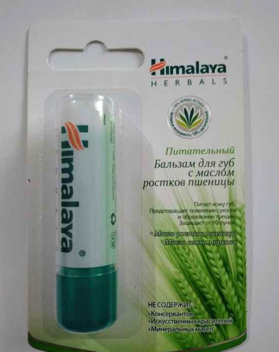 Питательный бальзам для губ Himalaya Herbals с маслом ростков пшеницы фото