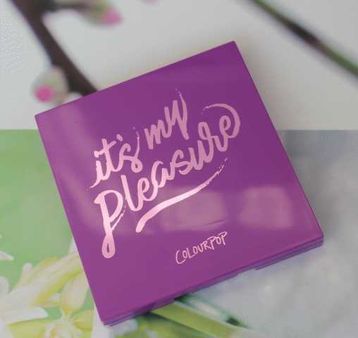 ColourPop It’s My Pleasure 9-Pan Eyeshadow Palette  фото
