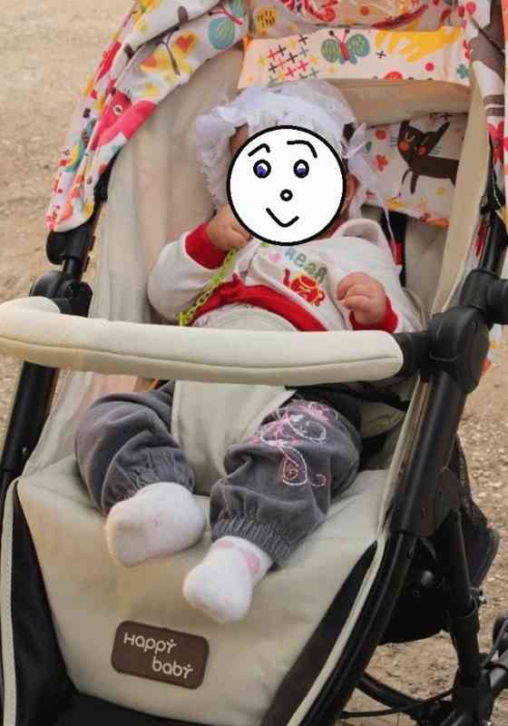 Прогулочная коляска Happy Baby Jessica фото