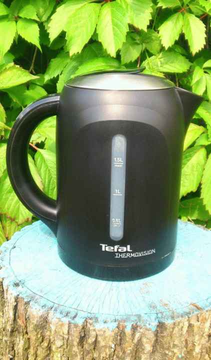Электрический чайник Tefal Thermovision фото