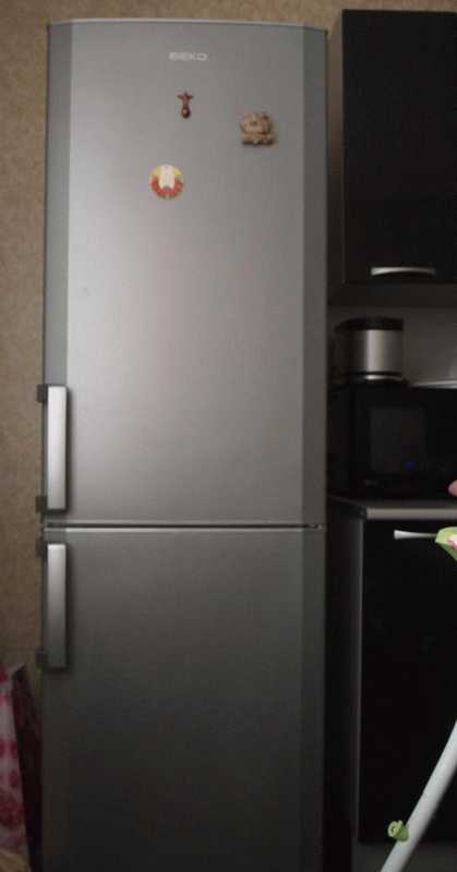 Холодильник Beko CS 334020 S фото