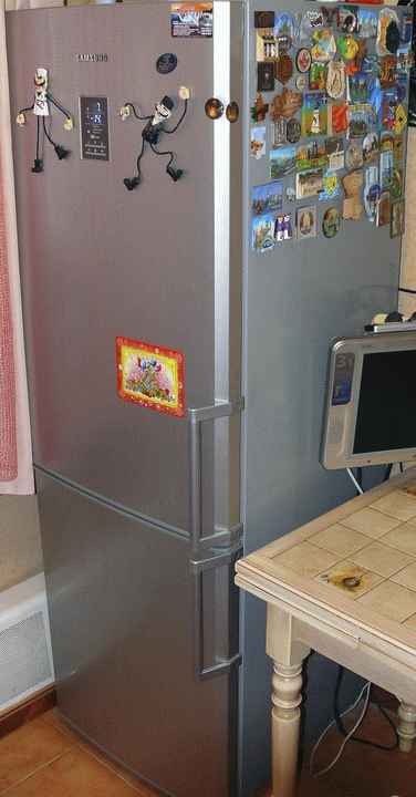 Холодильник Samsung RL-34 EGTS (RL-34 EGMS) фото