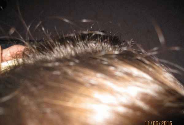 Шампунь и гель Davines Naturaltech Energaizing против выпадения волос фото
