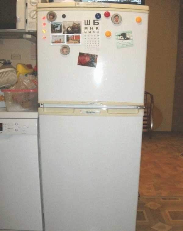 Холодильник Бирюса-22 фото