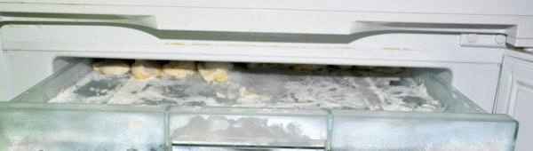 Холодильник Snaige RF35SM-S10021 фото