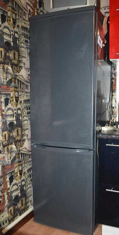 Холодильник Don R 299 фото
