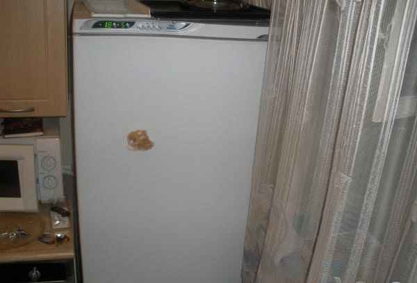 Холодильник Атлант МХМ-1847 фото