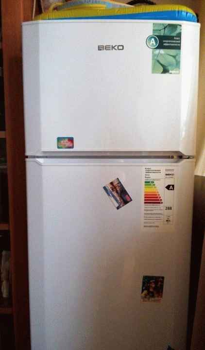 Холодильник Beko DS 325000 фото