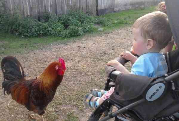 Детская коляска-трость Hoco Eagle S фото