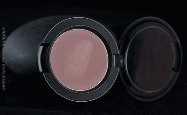 MAC Powder blush/Pro Palette Refill Pan 