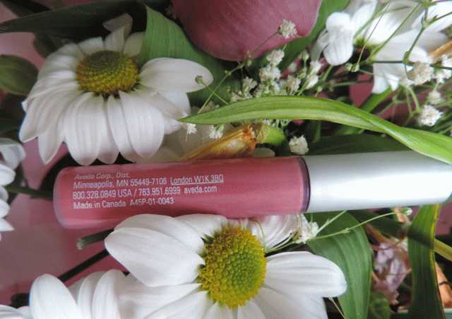 Aveda Nourish-mint Rehydrating lip glaze в оттенке 933 Rose Blush фото