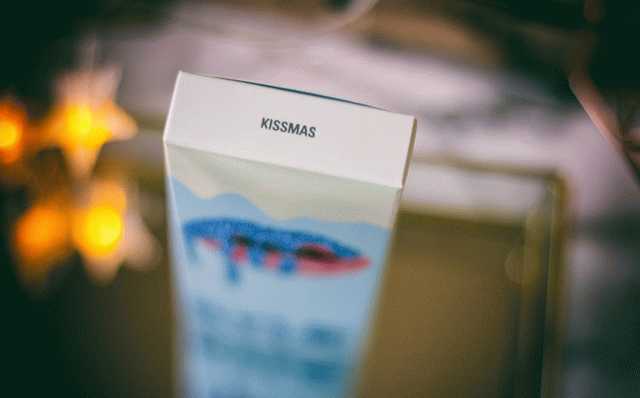 Матовая помада + карандаш для губ от Kylie Cosmetics из лимиторованной Рождественской коллекции Holiday Collection 2018 Kissmas Matte Lip Kit фото